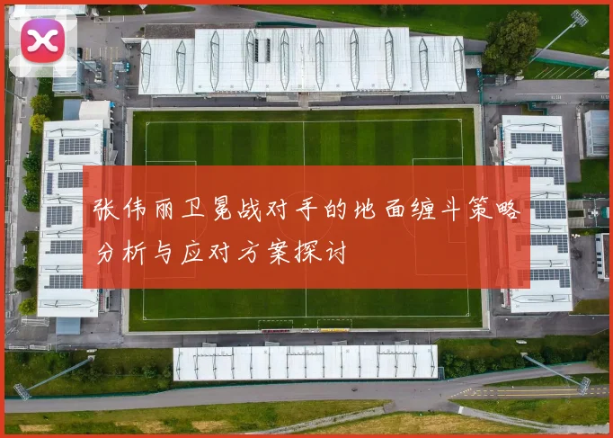 张伟丽卫冕战对手的地面缠斗策略分析与应对方案探讨